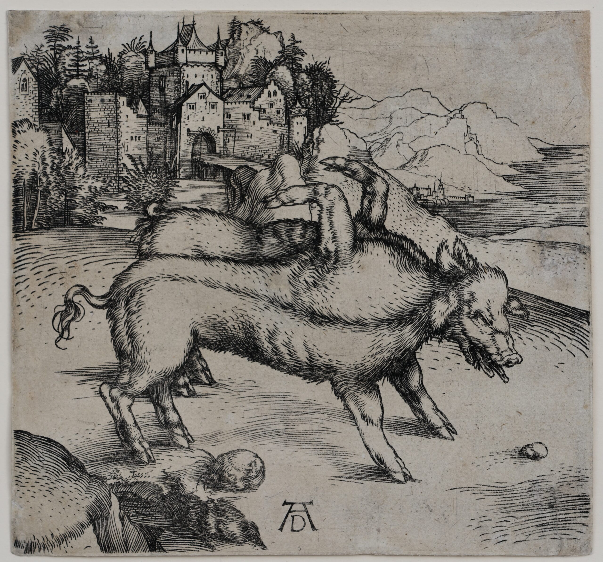 Albrecht Dürers Kupferstich